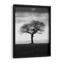 Sin Hojas - Martin Henson | Cuadro decorativo de Canvas Lab