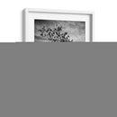 Curvas - Martin Henson | Cuadro decorativo de Canvas Lab