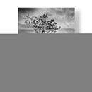 Curvas - Martin Henson | Cuadro decorativo de Canvas Lab