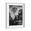 La VIda De La Roca - Martin Henson | Cuadro decorativo de Canvas Lab