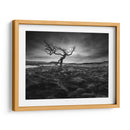 Solitario - Martin Henson | Cuadro decorativo de Canvas Lab