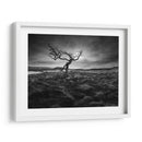 Solitario - Martin Henson | Cuadro decorativo de Canvas Lab