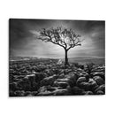 Grikes Y Clints - Martin Henson | Cuadro decorativo de Canvas Lab