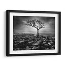 Grikes Y Clints - Martin Henson | Cuadro decorativo de Canvas Lab