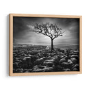 Grikes Y Clints - Martin Henson | Cuadro decorativo de Canvas Lab