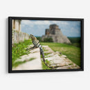 Lagartija en pirámide | Cuadro decorativo de Canvas Lab