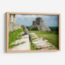 Lagartija en pirámide | Cuadro decorativo de Canvas Lab