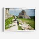 Lagartija en pirámide | Cuadro decorativo de Canvas Lab