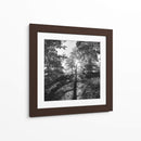 Woodland Tonos I - Martin Henson | Cuadro decorativo de Canvas Lab