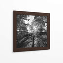 Woodland Tonos I - Martin Henson | Cuadro decorativo de Canvas Lab