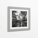 Woodland Tonos I - Martin Henson | Cuadro decorativo de Canvas Lab