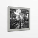 Woodland Tonos I - Martin Henson | Cuadro decorativo de Canvas Lab