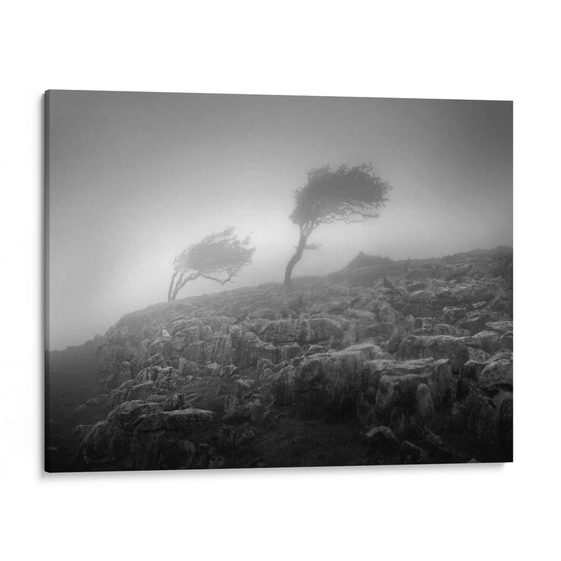 Misty Tiempo VI - Martin Henson | Cuadro decorativo de Canvas Lab