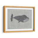 Ballena De Un Cuento III - Chariklia Zarris | Cuadro decorativo de Canvas Lab