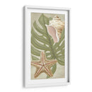 Palm Beach III - June Erica Vess | Cuadro decorativo de Canvas Lab