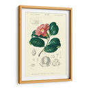 Embellecido Floral Botanique II - N.Charles DOrbigny | Cuadro decorativo de Canvas Lab