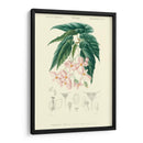 Embellecido Floral Botanique III - N.Charles DOrbigny | Cuadro decorativo de Canvas Lab