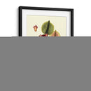 Buchoz Hojas II - Vision Studio | Cuadro decorativo de Canvas Lab