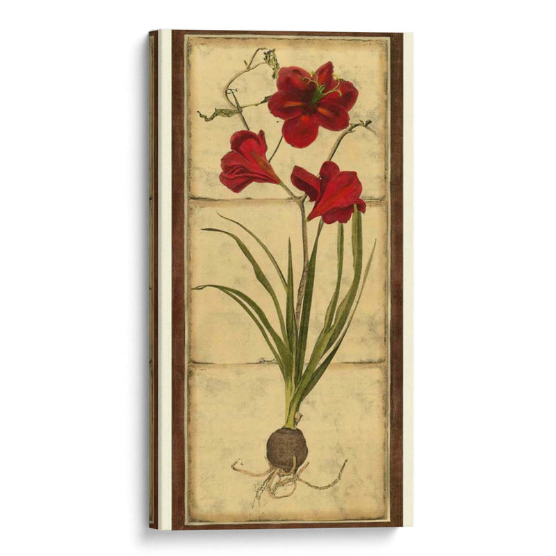 Amaryllis Panel I - Vision Studio | Cuadro decorativo de Canvas Lab