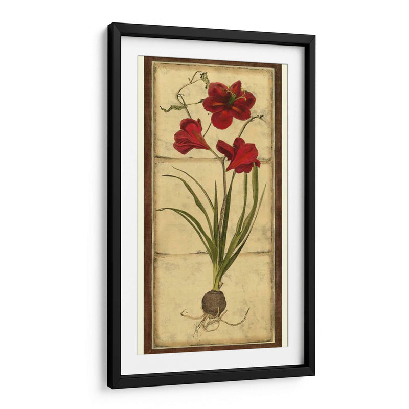 Amaryllis Panel I - Vision Studio | Cuadro decorativo de Canvas Lab