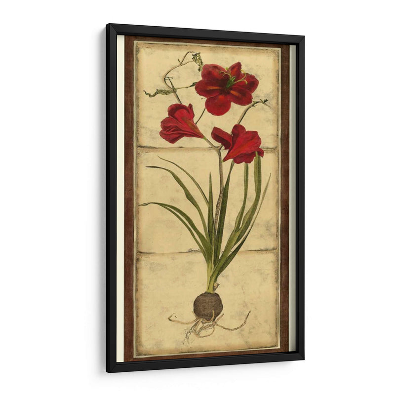 Amaryllis Panel I - Vision Studio | Cuadro decorativo de Canvas Lab