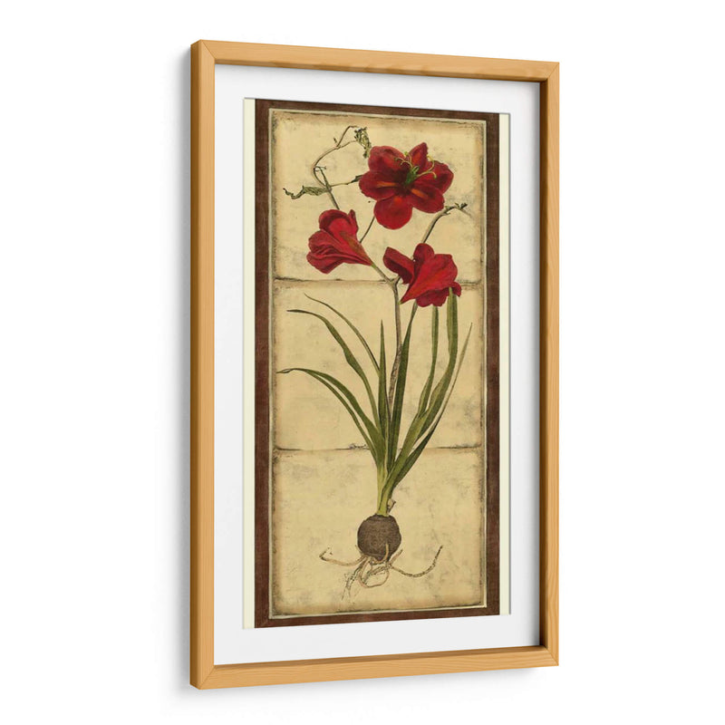 Amaryllis Panel I - Vision Studio | Cuadro decorativo de Canvas Lab