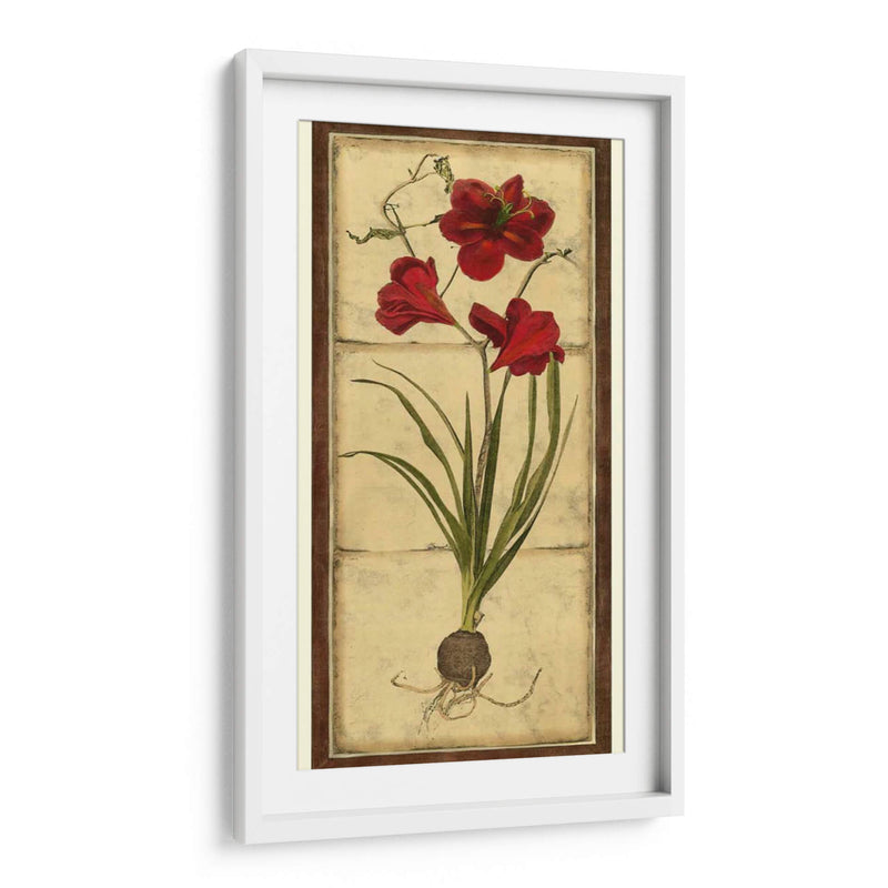 Amaryllis Panel I - Vision Studio | Cuadro decorativo de Canvas Lab