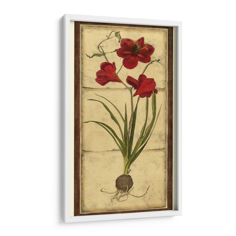 Amaryllis Panel I - Vision Studio | Cuadro decorativo de Canvas Lab