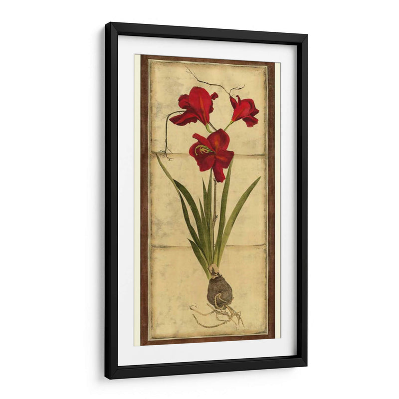 Amaryllis Panel II - Vision Studio | Cuadro decorativo de Canvas Lab