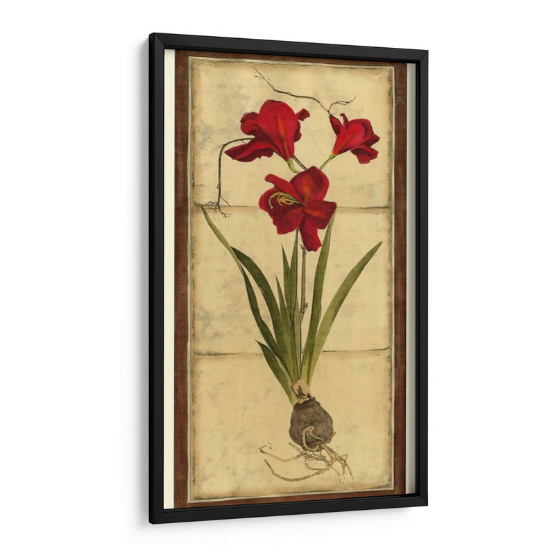 Amaryllis Panel II - Vision Studio | Cuadro decorativo de Canvas Lab