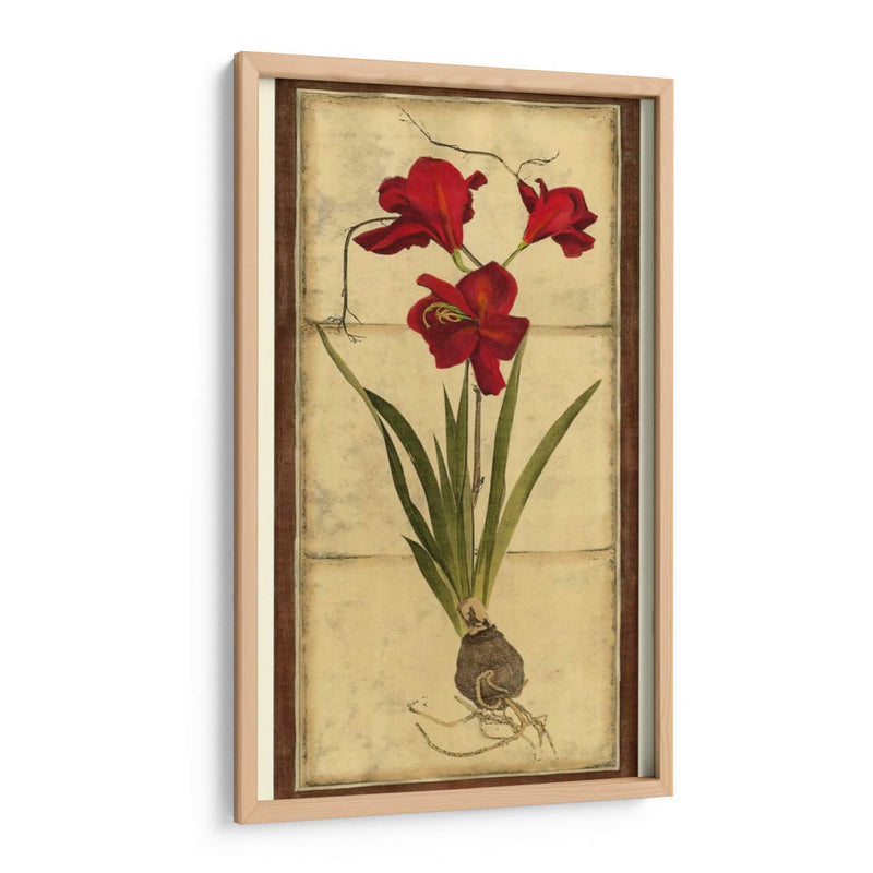 Amaryllis Panel II - Vision Studio | Cuadro decorativo de Canvas Lab