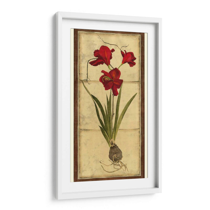 Amaryllis Panel II - Vision Studio | Cuadro decorativo de Canvas Lab