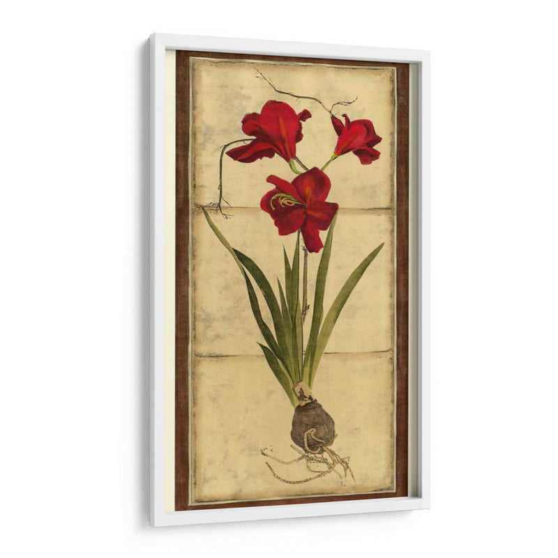 Amaryllis Panel II - Vision Studio | Cuadro decorativo de Canvas Lab