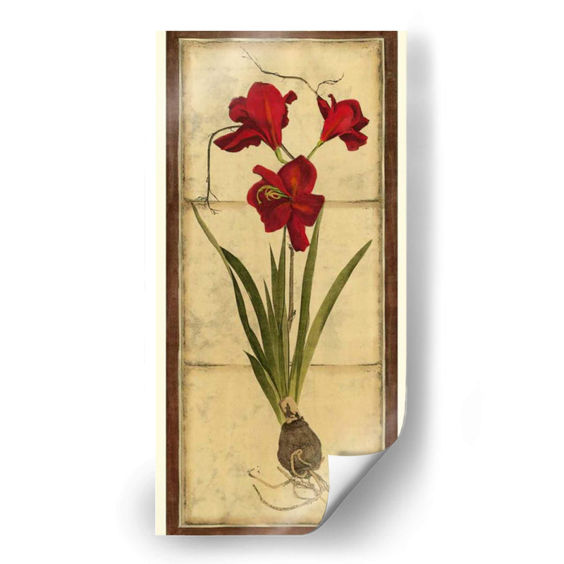 Amaryllis Panel II - Vision Studio | Cuadro decorativo de Canvas Lab