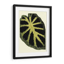 Grandioso Hojas III - Vision Studio | Cuadro decorativo de Canvas Lab