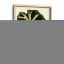 Grandioso Hojas III - Vision Studio | Cuadro decorativo de Canvas Lab