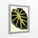 Grandioso Hojas III - Vision Studio | Cuadro decorativo de Canvas Lab