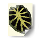 Grandioso Hojas III - Vision Studio | Cuadro decorativo de Canvas Lab