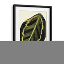 Grandioso Hojas IV - Vision Studio | Cuadro decorativo de Canvas Lab