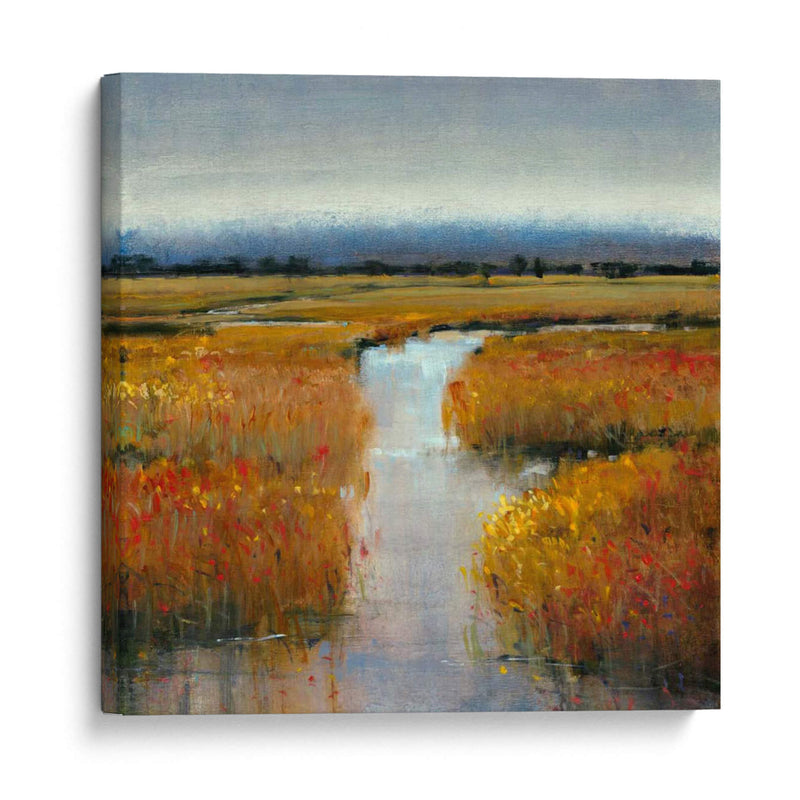 Marsh Tierra II - Tim OToole | Cuadro decorativo de Canvas Lab