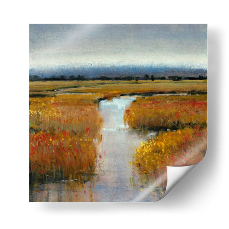 Marsh Tierra II - Tim OToole | Cuadro decorativo de Canvas Lab