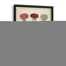 Besler Florilegium IV - Basilius Besler | Cuadro decorativo de Canvas Lab