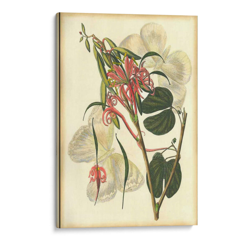 Floral Fantasia I | Cuadro decorativo de Canvas Lab