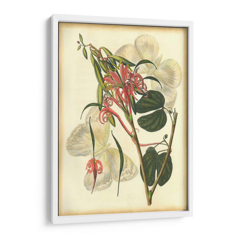 Floral Fantasia I | Cuadro decorativo de Canvas Lab