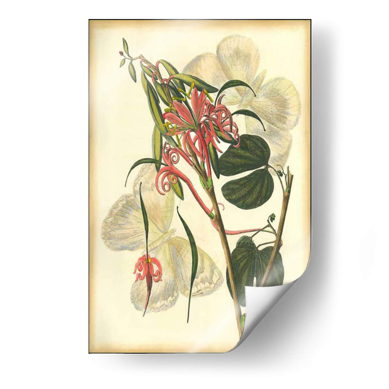 Floral Fantasia I | Cuadro decorativo de Canvas Lab