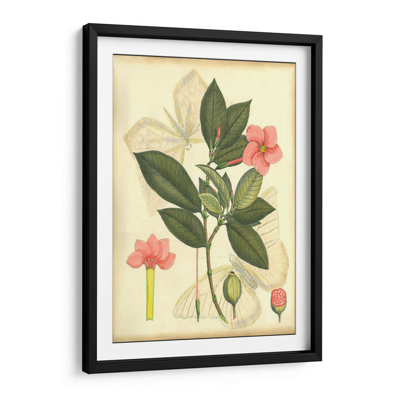 Floral Fantasia II | Cuadro decorativo de Canvas Lab