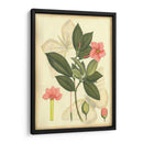 Floral Fantasia II | Cuadro decorativo de Canvas Lab