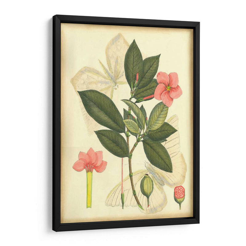 Floral Fantasia II | Cuadro decorativo de Canvas Lab