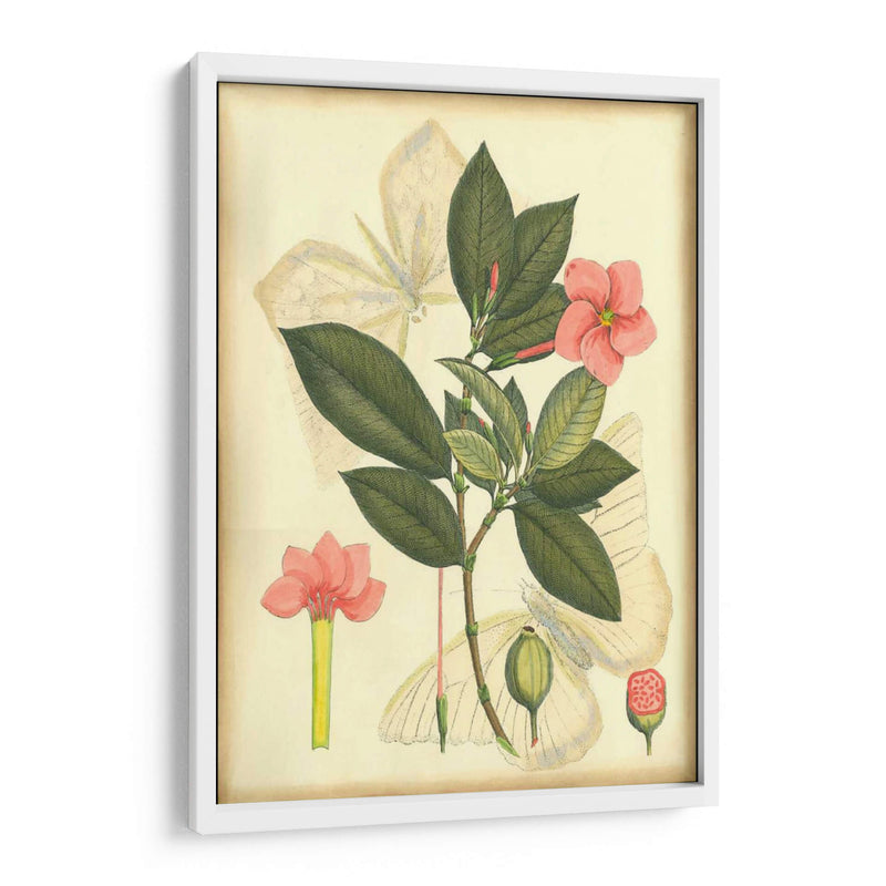 Floral Fantasia II | Cuadro decorativo de Canvas Lab