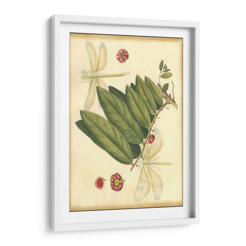 Floral Fantasia V | Cuadro decorativo de Canvas Lab